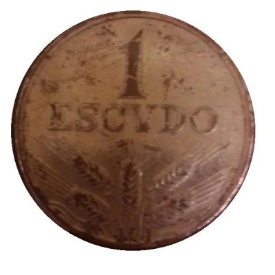 1 Escudo Replica back