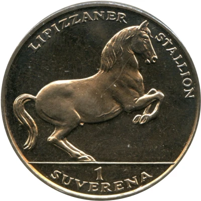 1 Suverena Lipizzaner Stallion back