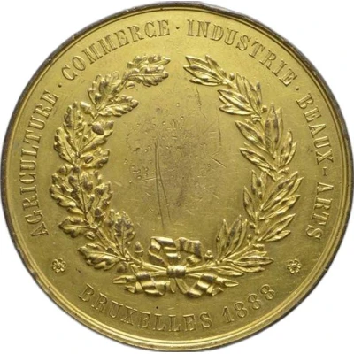 1888 Brussels International Exhibition Medal back