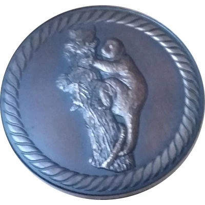 9th South Pacific Games Medallion back