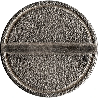 Blank Token (with 1 groove on each side; 24 mm) ND back