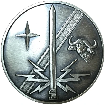 Challenge Coin - 1st Combat Communications Group ND back