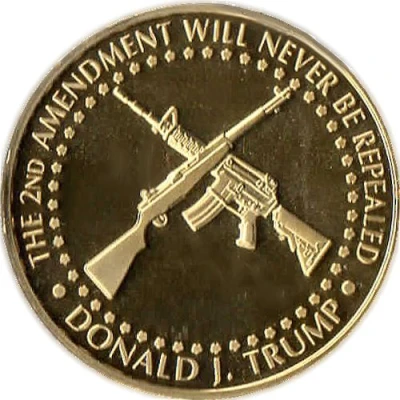 Donald Trump 2nd Amendment back