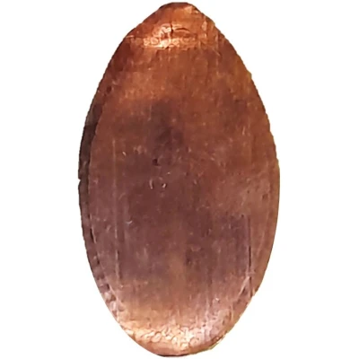 Elongated coin (Punakaiki) ND back