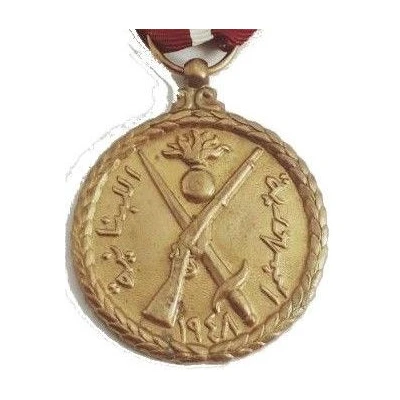 Lebanon War Medal front