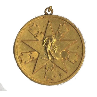 MEDALJA ZASLUGE ZA NAROD ND front