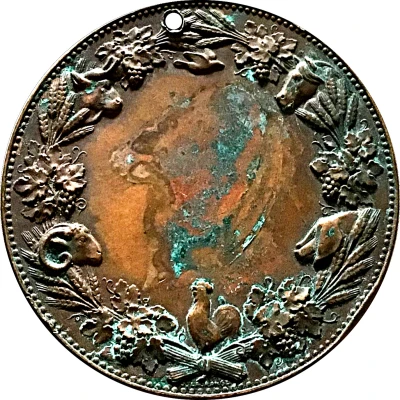 Medal - Alphée Dubois ND back