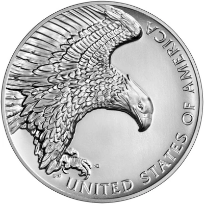 Medal - American Liberty High Relief back