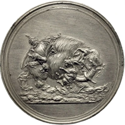 Medal - Battle of Nyborg front