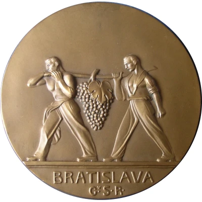 Medal - Bratislava ND front