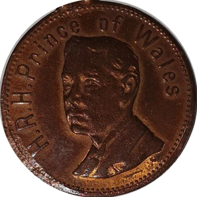 Medal - Edward Prince of Wales Visit front