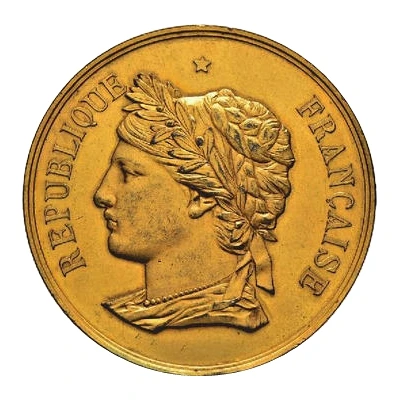 Medal - Exposition Française - Tunis 1889 gilt front