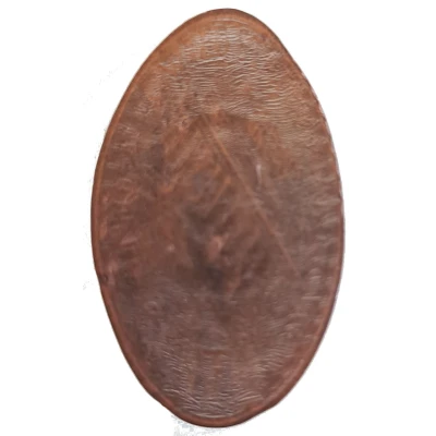 Medal - National Dinosaur Museum (Elongated Coin) ND back