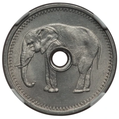 Token - Non-denominated Elephant back