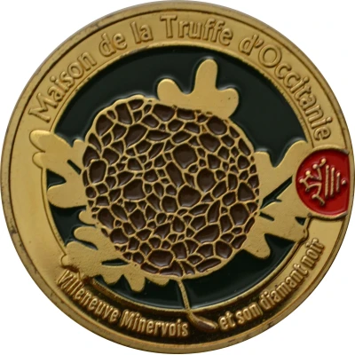 médaille siuvenir et patrimoine Maison de la Truffe D'Occitanie ND front